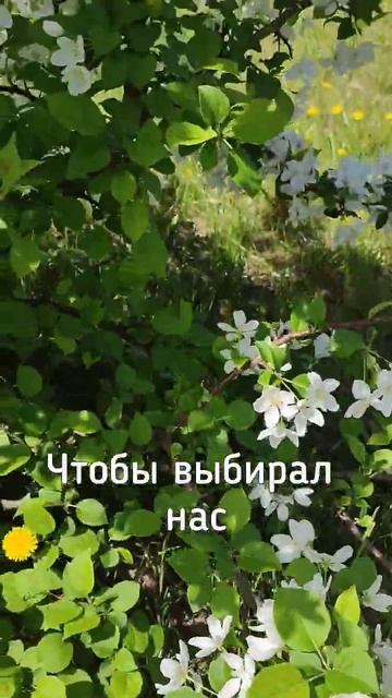 Признайтесь, что тоже этого желаете #актуально #любовь #кактотак #видео #годное #цитаты #мысливслух смотреть онлайн