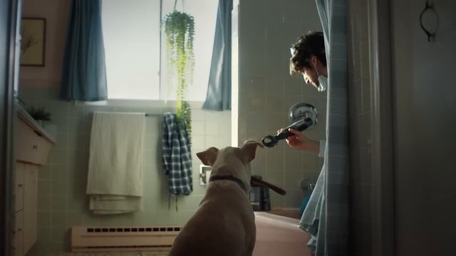 DIY Can Be as Easy as Fetch смотреть онлайн