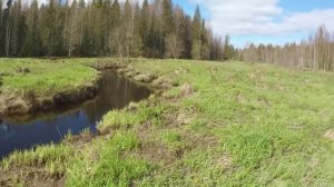 В этой миниречке водятся монстры. Охота за крупной форелью в  Ленинградской области в 2022 году.#1