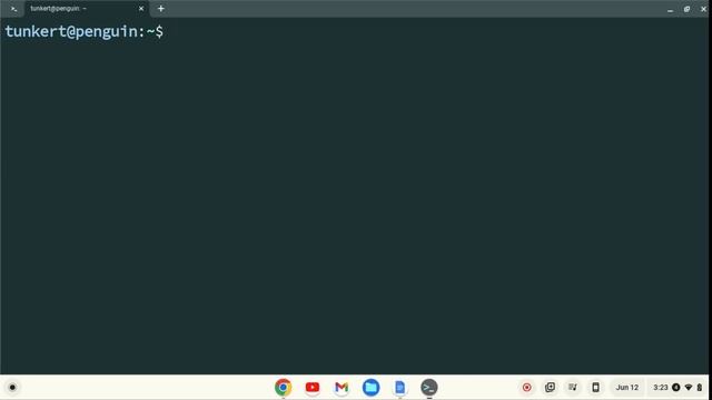 How To Install Graviton On A Chromebook