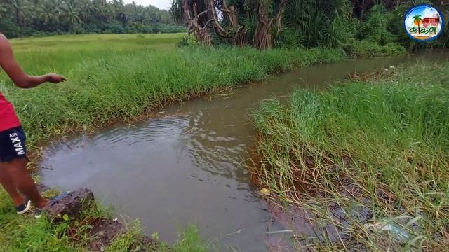विहिरीत सोडायला पकडले मासे आणि कोकणातील एक प्रसिध्द Youtuber ऋषभ तोडणकर जवळ झालेली भेट || मालगुंड