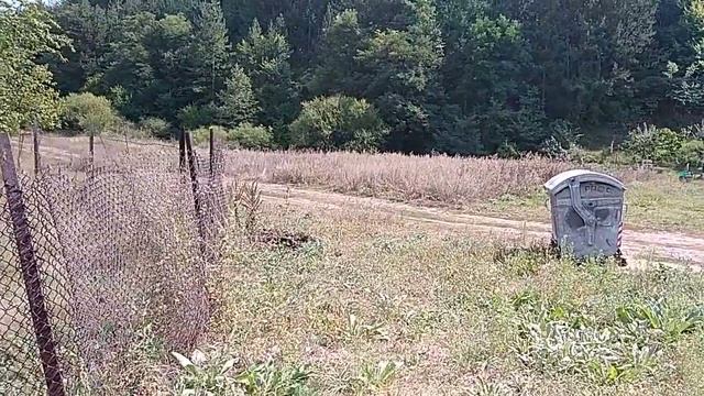 Тера Булгари / парцел с лице на две улици в село Боснек, ограден, панорама, до река, равен, смотреть онлайн