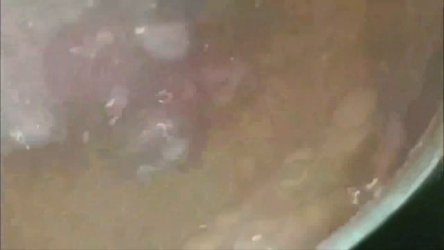 АГНЕШКО ВАРЕНО смотреть онлайн