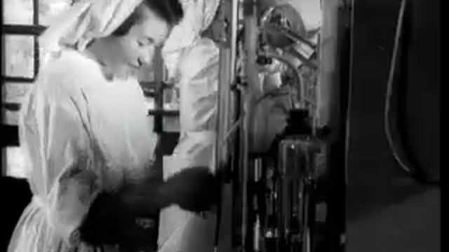 Киножурнал / НОВОСТИ ДНЯ 1954 г N 59 смотреть онлайн