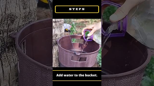 #short_Bucket trap with rhinocerous beetle lure to catch “Oryctes Rhinoceros” insect #chipku. смотреть онлайн