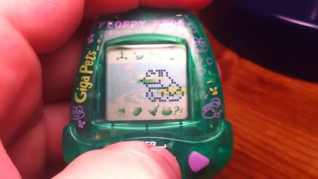 Floppy Frog Giga Pet Part 2 (Real Frog Sounds!)