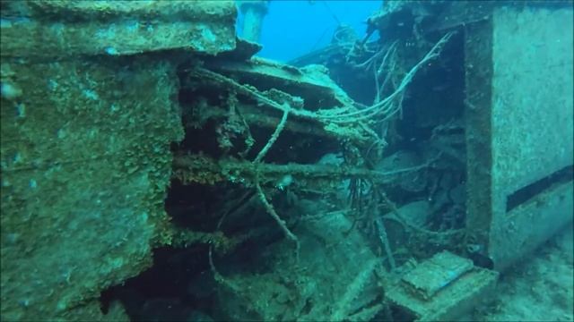 Shark Feed no Austin Smith Wreck смотреть онлайн