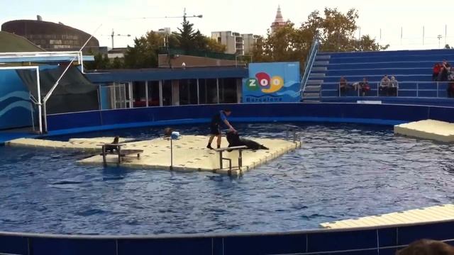 Барселона, Зоопарк смотреть онлайн