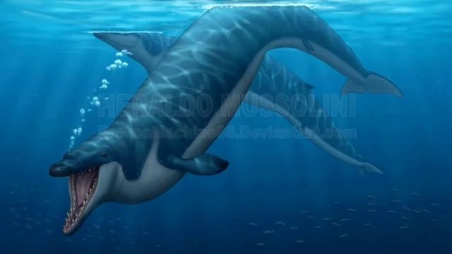 dinopedia:Cynthiacetus смотреть онлайн
