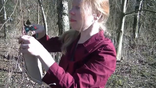 Berkensap tappen doe ik zo смотреть онлайн