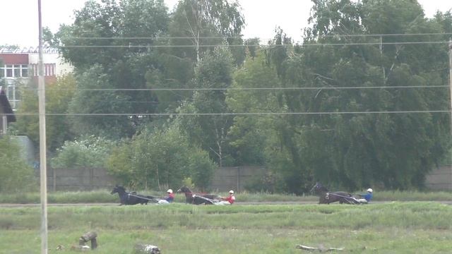 5 Раменский ипподром 03.08.2019 - Лошади рожд. 2016г. орловской породы смотреть онлайн
