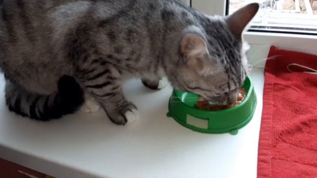 ГИПНОТИЧЕСКИЙ ВЗГЛЯД🙄 смотреть онлайн