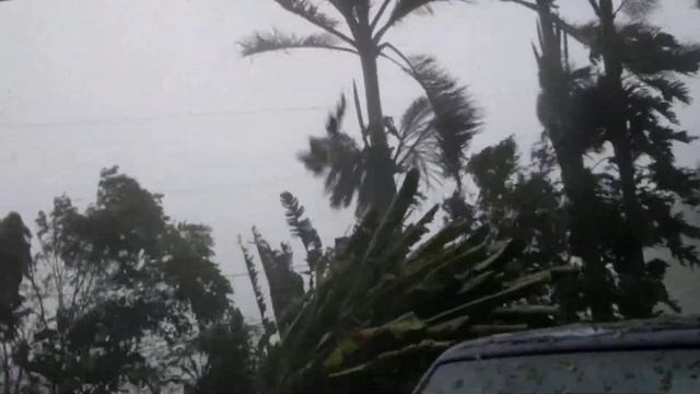 GeekVape Aegis / Hurricane Irma смотреть онлайн