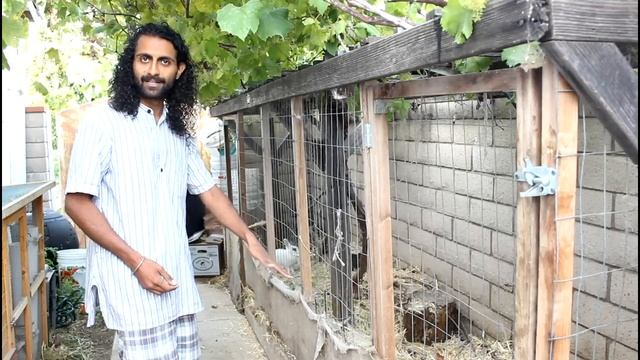 How to Build an Easy to Clean Chicken Coop смотреть онлайн