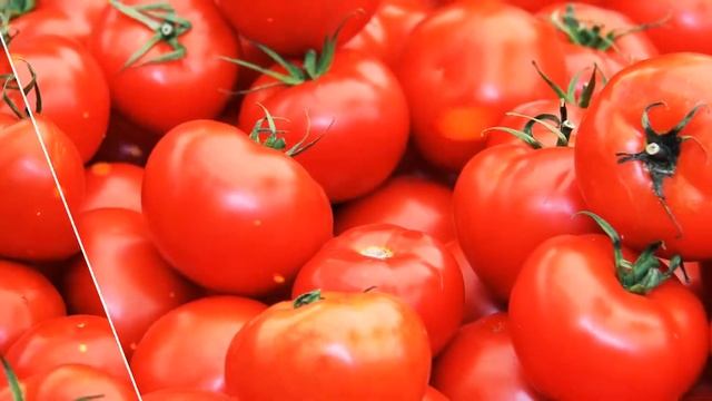 Проект «0-5-30» смотреть онлайн