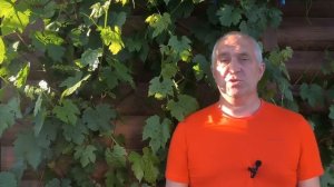 Обработка и подкормка ВИНОГРАДА перед ЦВЕТЕНИЕМ!