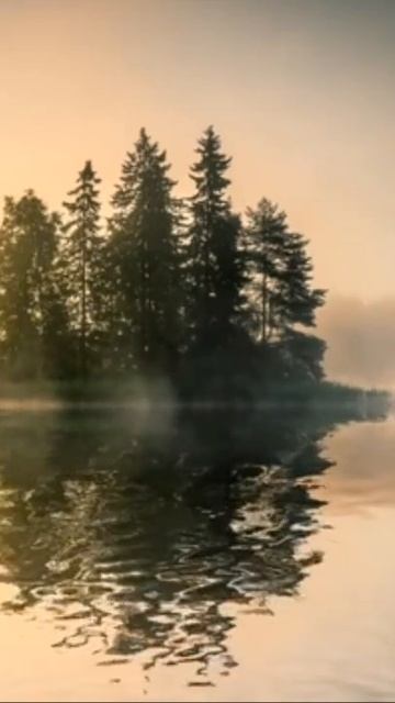 Morning Relaxing Music #shorts