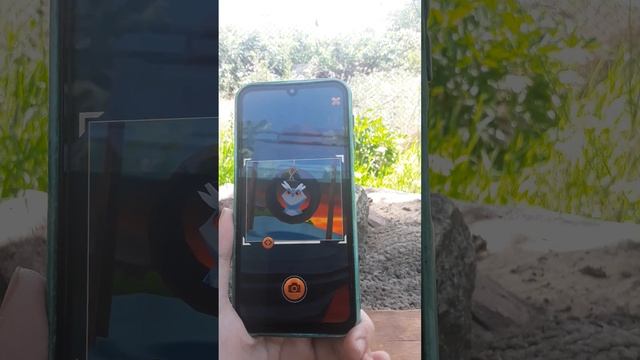 Играю в игру Мой Говорящий Хэнк. Веселимся вместе с Говорящий Хэнком. Сфотографировал много животны смотреть онлайн