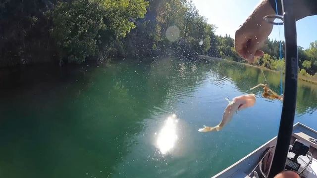 Fishing Florida’s Most Guarded Location! *Catch, Clean, & Cook* смотреть онлайн