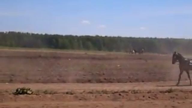 В.Синячиха, 2008 г. Большой Алапаевский круг (3эт. 1,2гит)