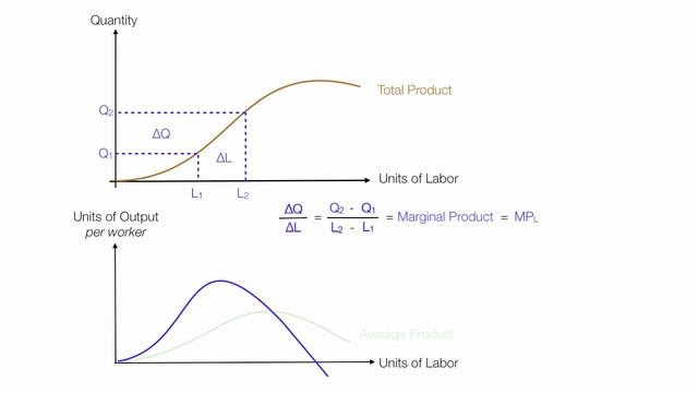 Introduction to Production Introduction (Average Product, Marginal Product, Total Product) смотреть онлайн