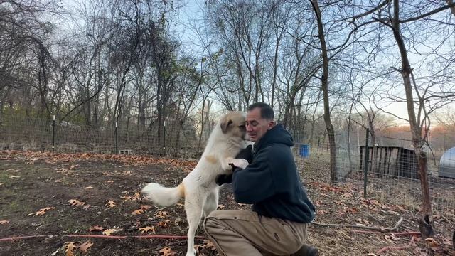 You Won’t BELIEVE Who Showed Up! смотреть онлайн