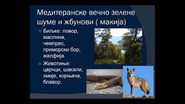 ОШ7 – Биологија, 30. час: Популација и односи исхране у екосистему (обрада) смотреть онлайн