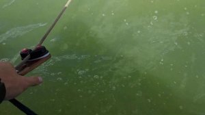 Кулачковый стопор для якорной веревки лодки.