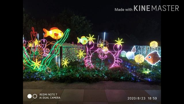 Late Gala @ Wanggong Wharf And Fish Port