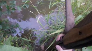 Охота на утку.