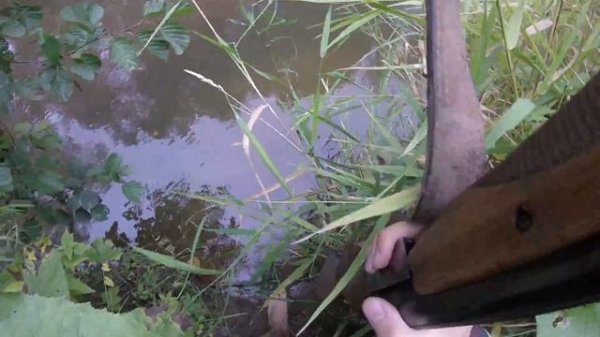 Охота на утку.