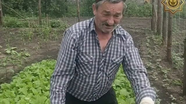 🔥 «Я УЖЕ НЕ ВЕРИЛ, ЧТО КО МНЕ ВЕРНЕТСЯ ЗДОРОВЬЕ», БАШИР БЕЛОКИЕВ - «Я только начинаю жить заново»☘️ смотреть онлайн