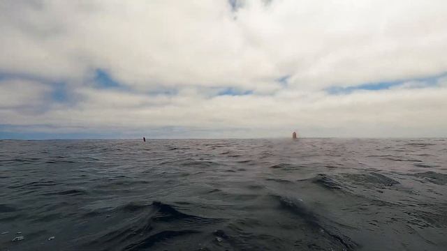 Kinetic Spearfishing - San Diego Big Bluefin Tuna Double смотреть онлайн