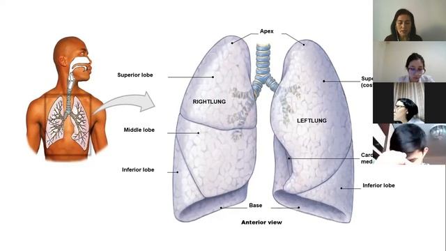 203 ЖМ, Профессор Ибраева С.С.