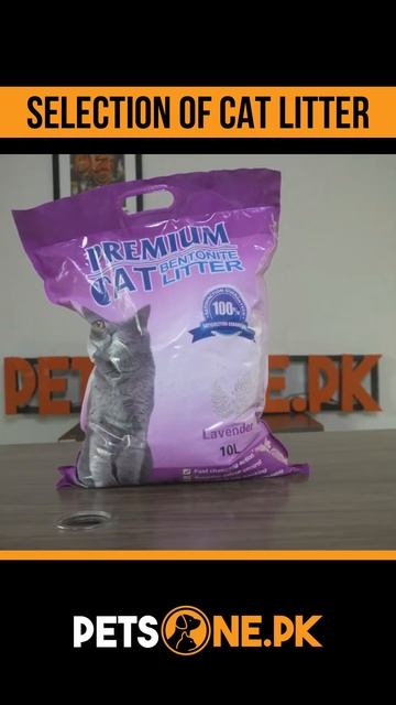 selection of cat litter смотреть онлайн