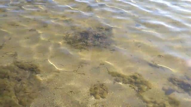 Море 2017 | Скадовск 25.08.17 смотреть онлайн