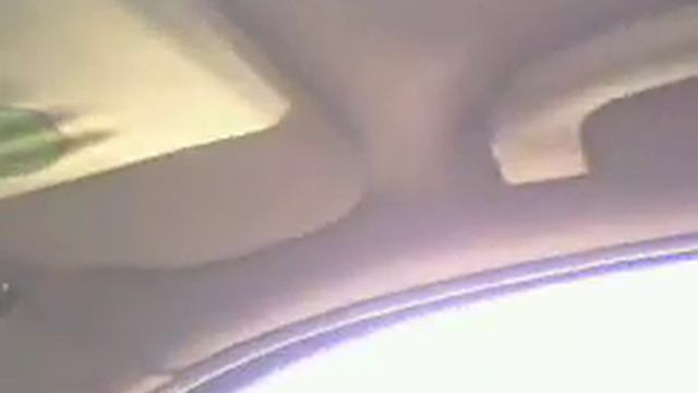 role na minha Alfa romeo 156 GTA na praia смотреть онлайн