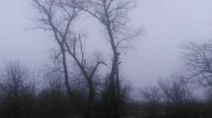 Природа январь 2025 почти февраль