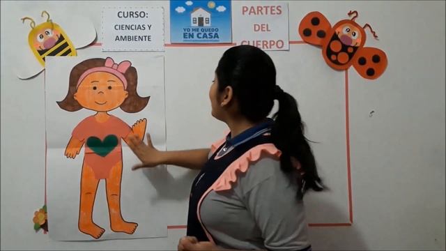 PARTES DEL CUERPO , para niños de 3 años , nivel inicial смотреть онлайн