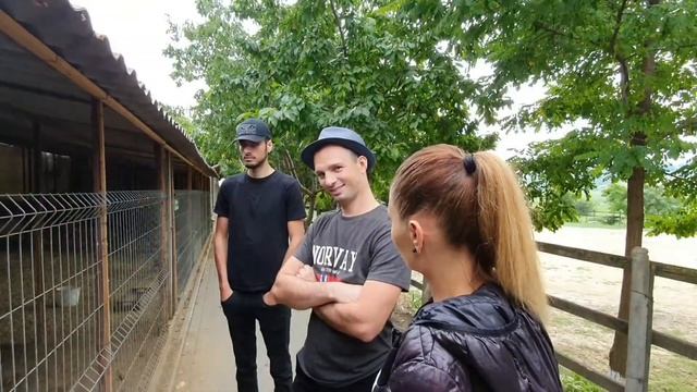 Bardar zoo....wasylly смотреть онлайн