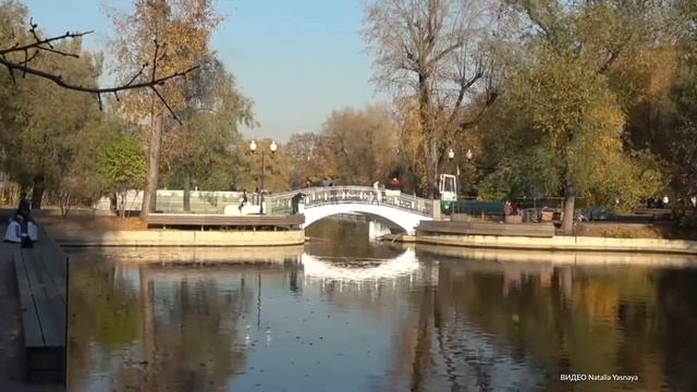 Синоптики прогнозируют третью волну бабьего лета в столице