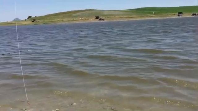 Рыбалка. Шестихутор на КМВ. Ставропольский край.