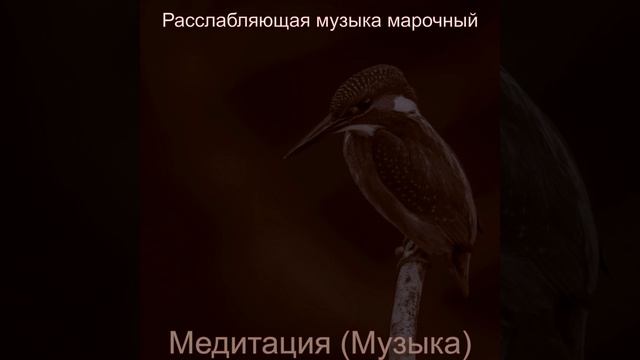 Чувство (Расслабление) смотреть онлайн