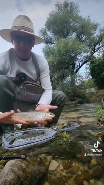 Softmouth trout (Salmothymus obtusirostris) River Buna, Bosnia and Hercegovina. смотреть онлайн