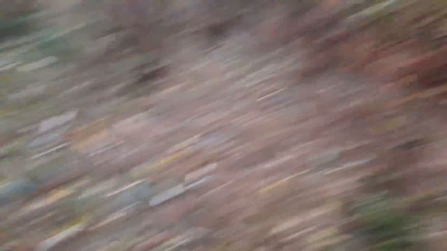 Славянск. 16 октября 2023г. Осенний вечер... смотреть онлайн