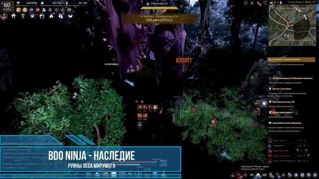 Black Desert BDO - Ninja Наследие/Tradishinal смотреть онлайн