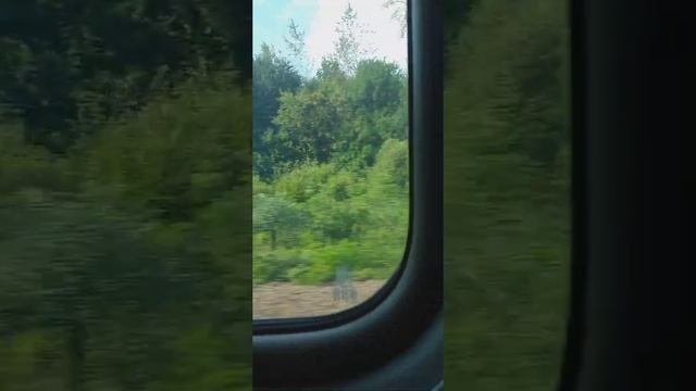 поездка на поезде Липецк Москва 9 августа 2022 год(4) смотреть онлайн