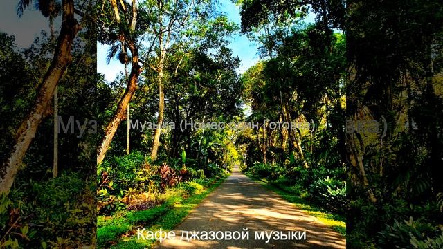 Сцинтилляционные, Echos Работа из дома смотреть онлайн