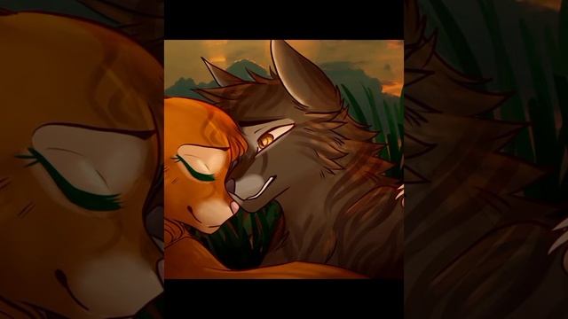 Этдит пары в КВ. #Коты Воители#warriorcats#КВ#Этдит# смотреть онлайн