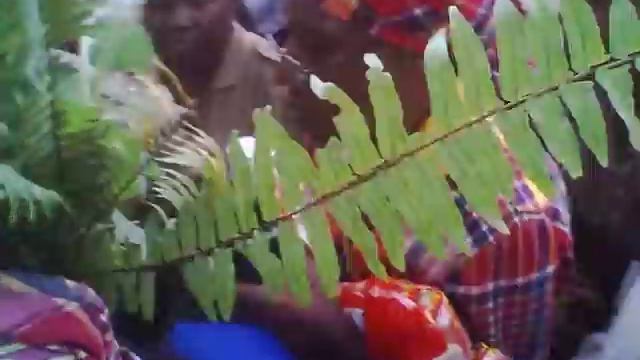 watt town Bishop P tyrrell drilling the bands 2012 смотреть онлайн
